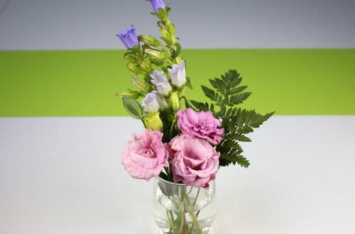 玻璃花瓶插什么花好看 用玻璃瓶插野花有别样风情 百科植物