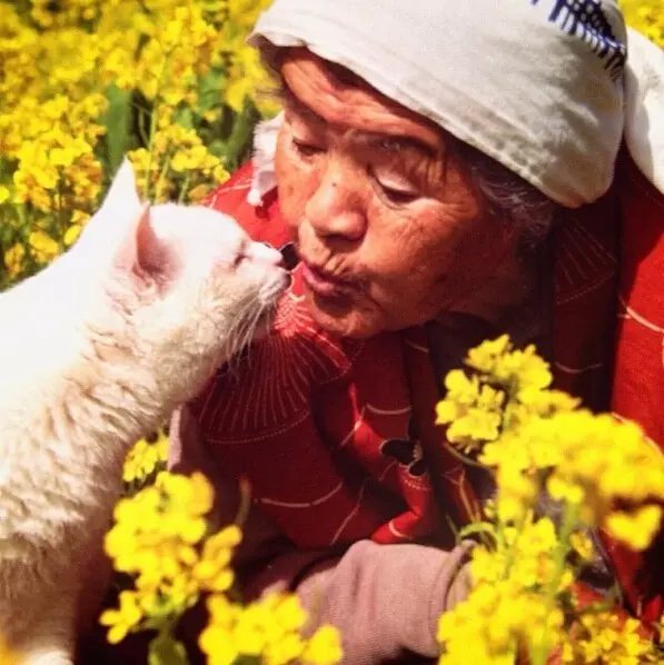 一起去看看， 今年油菜花开的怎么样。