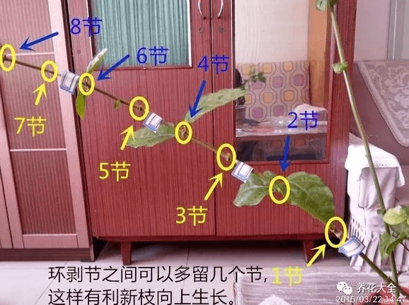 留多个节点